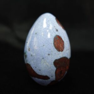 Egg
