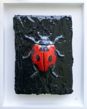 Ladybird