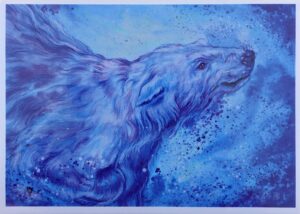 Ice Cold Swim / Polar Bear