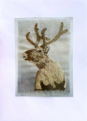 Reindeer
