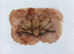 Lotus Flower