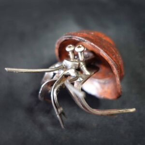Mini Hermit Crab #2