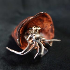 Mini Hermit Crab #3