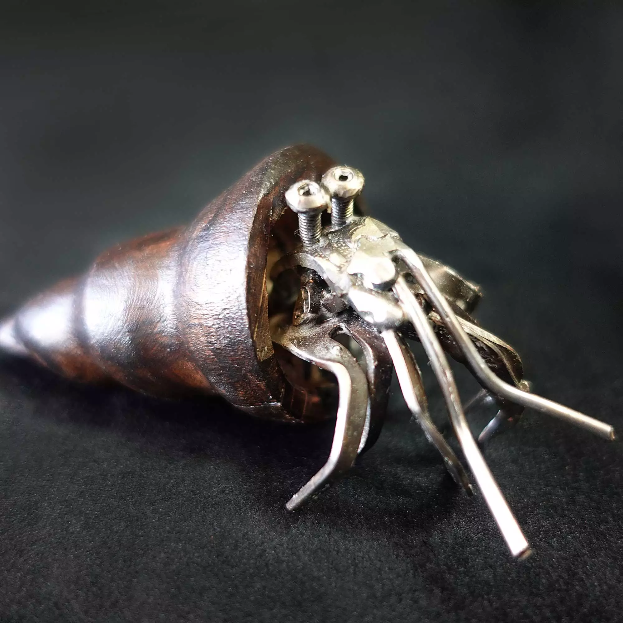 Mini Hermit Crab #4