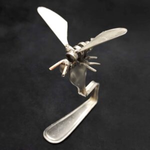Dragonfly #1