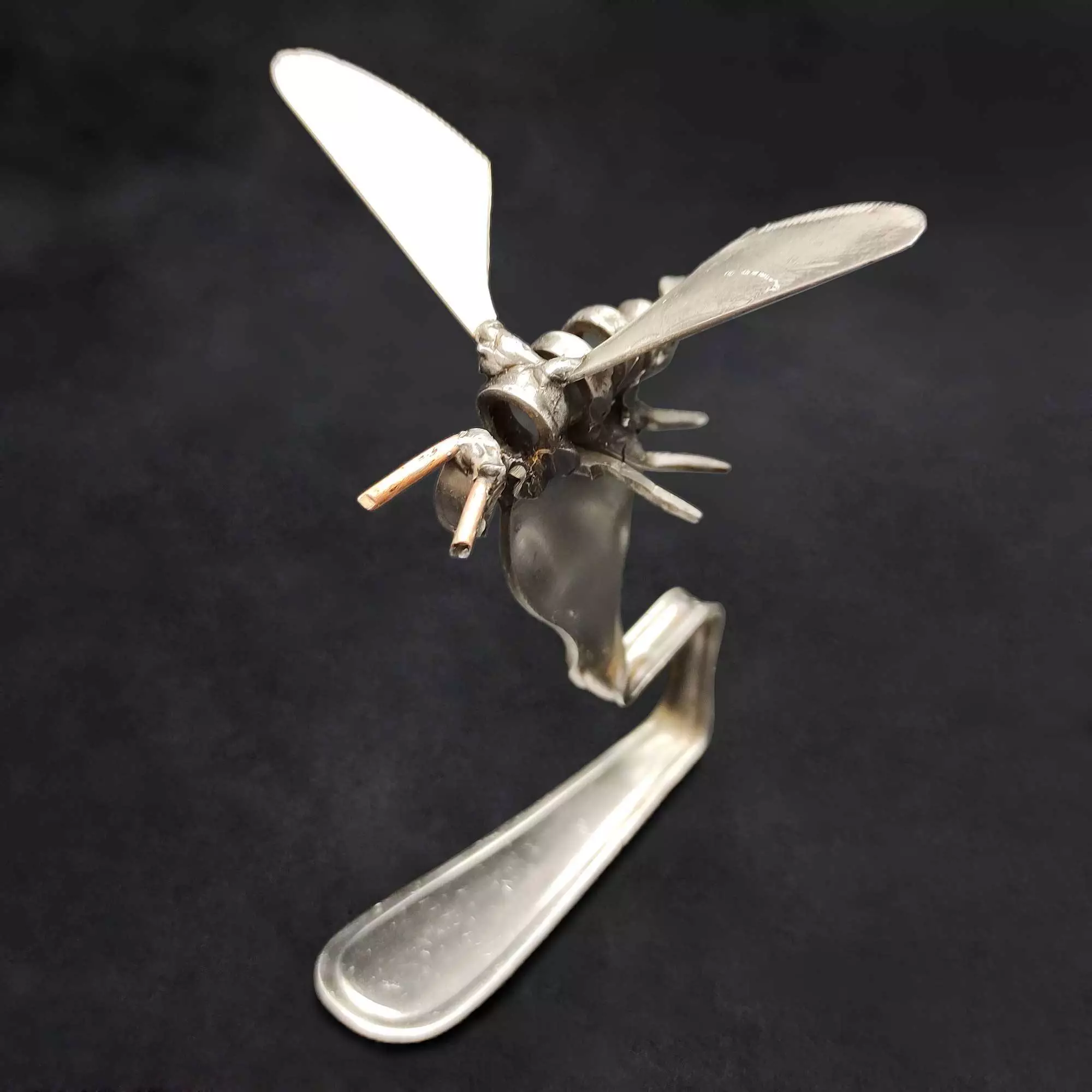 Dragonfly #1