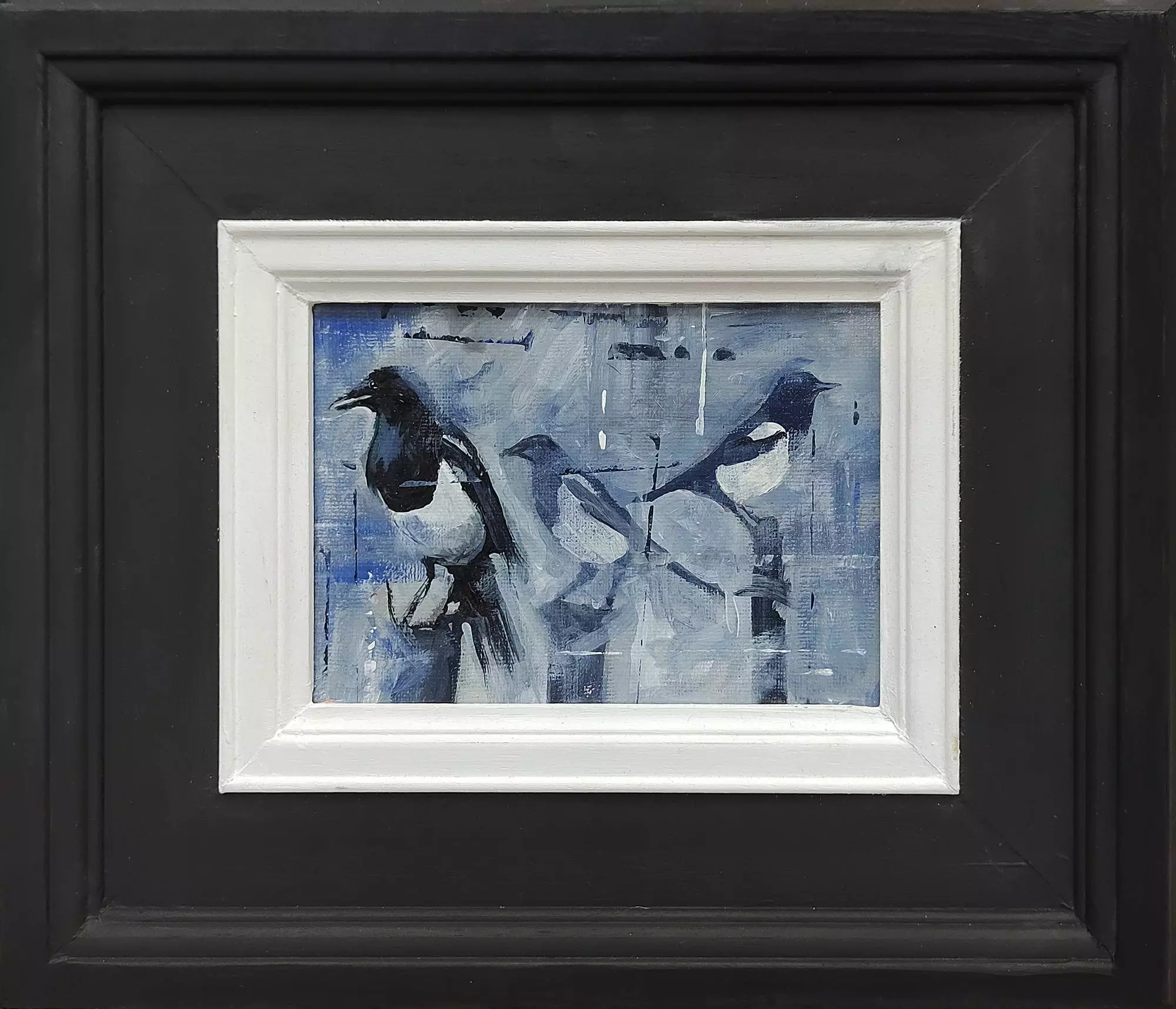 Magpies